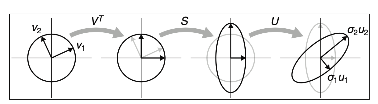 image-20230225021509148